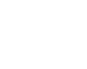 Brave Bear Marketing Logo